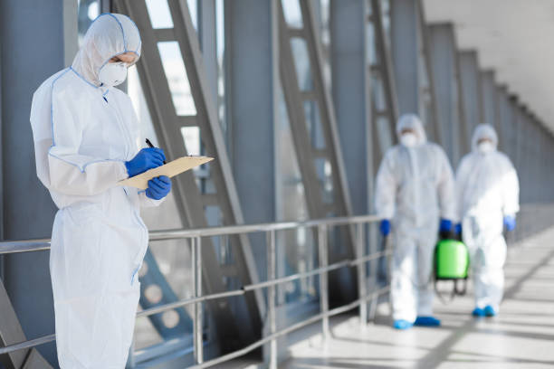 Best Water Damage & Mold Remediation  in Colesville, MD