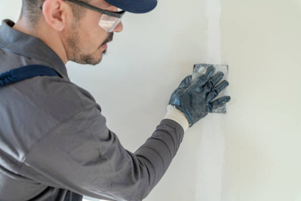 Best Real Estate Mold Inspection  in Colesville, MD