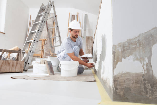 Best Biohazard Mold Removal  in Colesville, MD