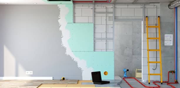 Best Air Quality Testing for Mold Spores  in Colesville, MD