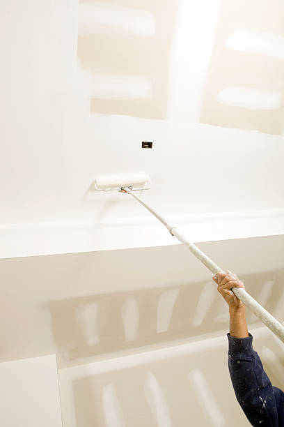 Environmental Consulting for Mold Prevention in Colesville, MD