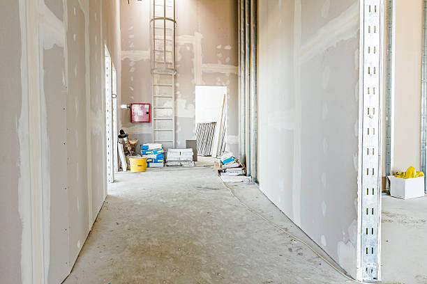 Best Mold Odor Removal Services  in Colesville, MD