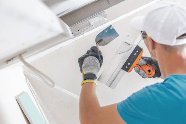 Best Basement Mold Removal  in Colesville, MD